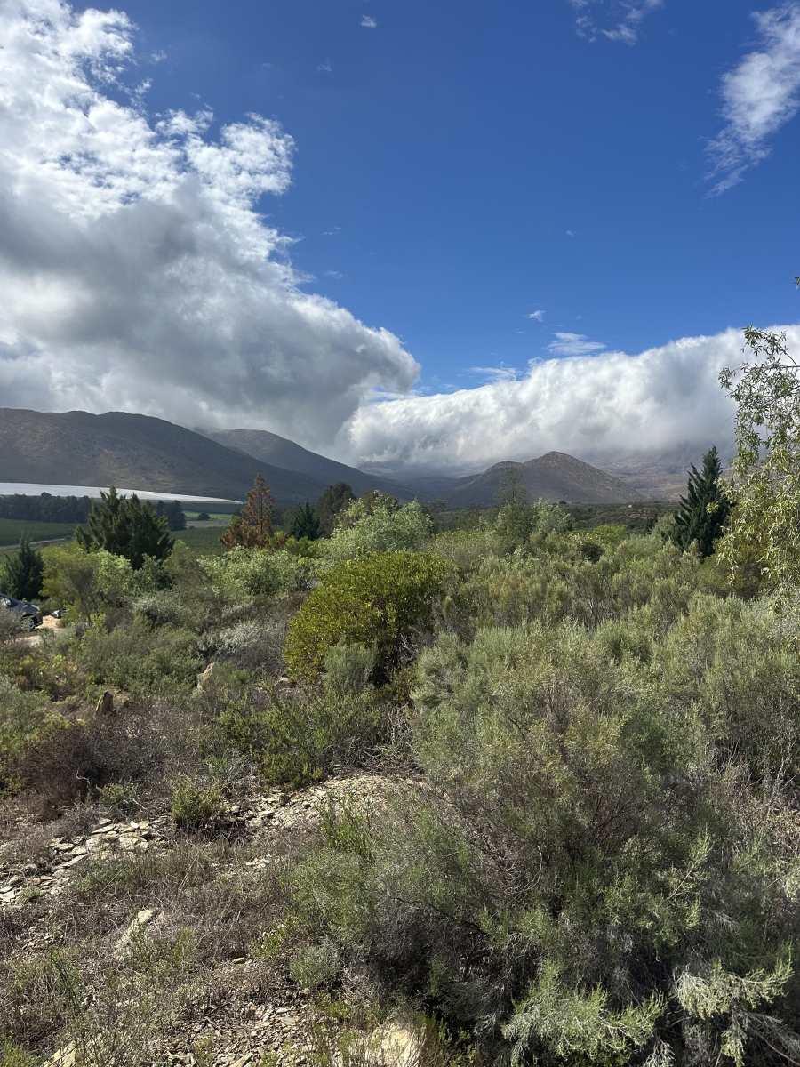 0 Bedroom Property for Sale in Barrydale Western Cape